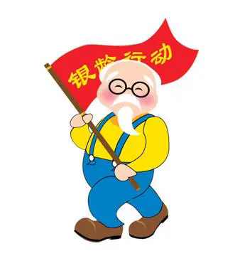 关于全国&ldquo;银龄行动&rdquo;志愿服务队伍组建情况的详细阐述