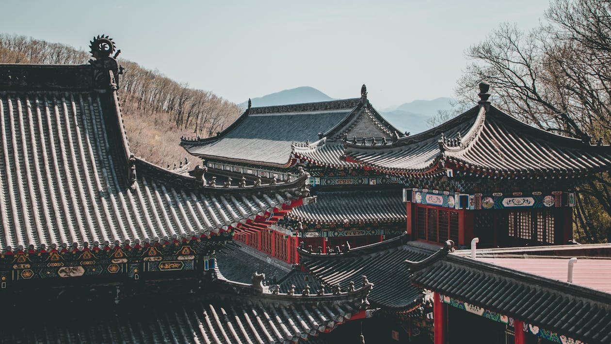 追溯养老院的奇妙起源