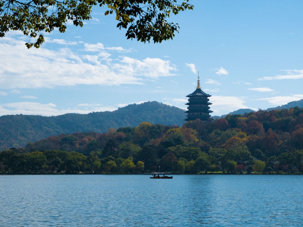 独居老母的抉择：房产传承后的家庭变故与养老院生活