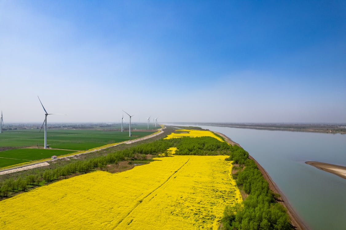 金融服务送上门，工行安庆西纺支行走进养老院